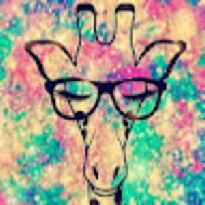 Meet your Posher, Maxie